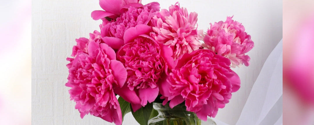 Floral & Sweet